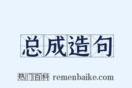 总成造句是什么意思的图片